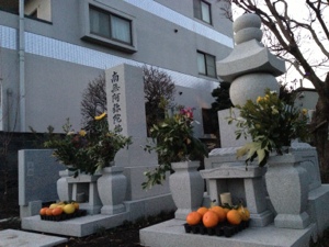 20130120-084834.jpg