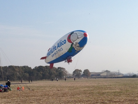 20130131-140846.jpg