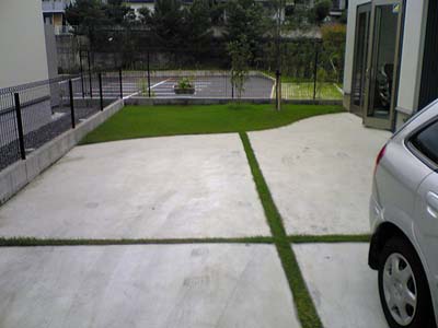 07071130.jpg