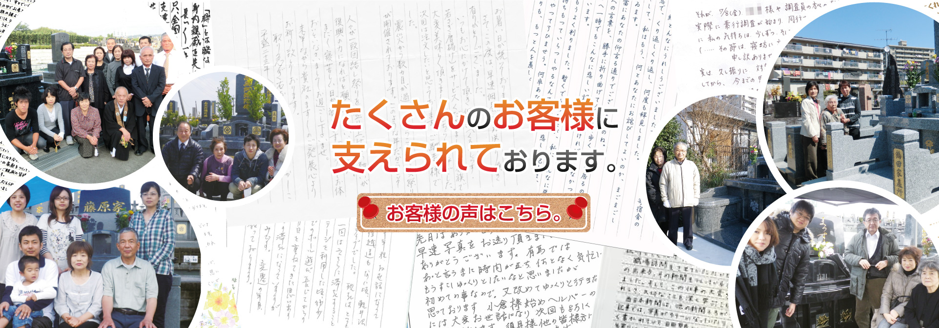 銀杏の木が黄色になりました。