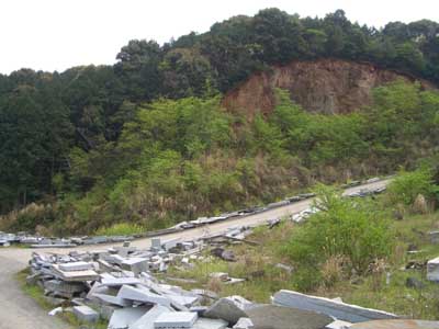 研修(出張）で感じた事