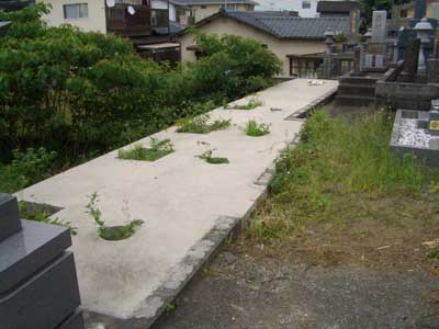 熊本市内町の真ん中に墓地