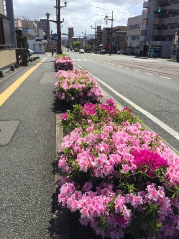 余震がおさまらない中ですが！