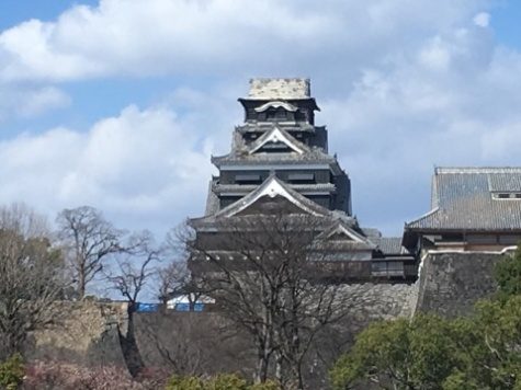 県の組合の会議の会場から見えた