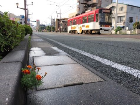 朝からお墓参り