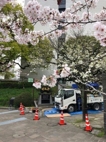 流石に今日は中止！