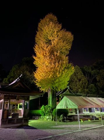 早朝の健軍神社。