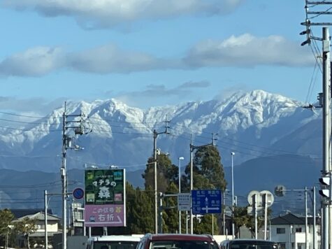 今年も宜しくお願いします。