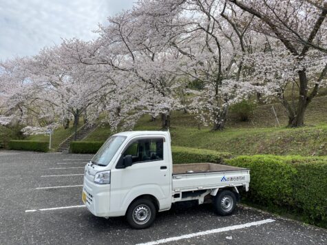 桜の季節の納骨^ ^