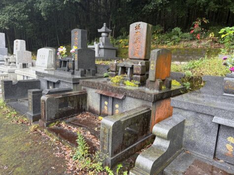 綺麗になりました