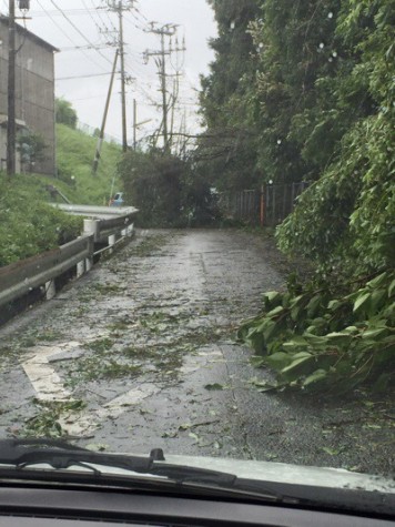 台風15号直撃！