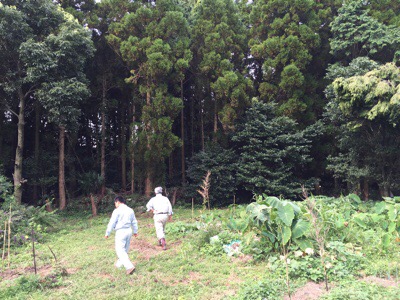 木製の鳥居のご依頼